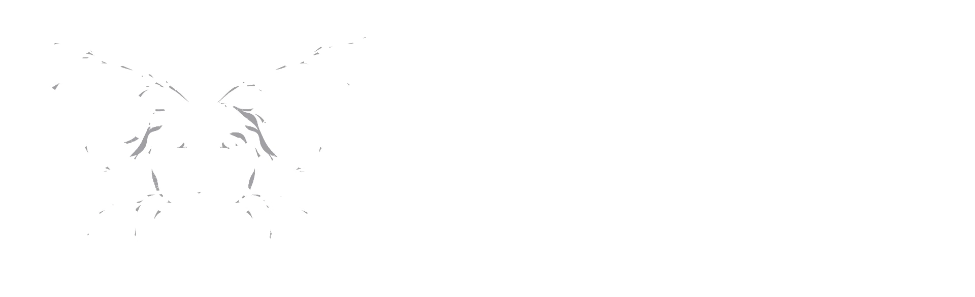 Tamires Oliveira
